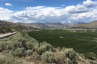 A view of the Okanogan Valley with sagebrush, irrigated orchards and blue sky with clouds