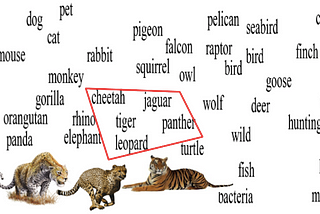 On the contribution of neural networks and word embeddings in Natural Language Processing