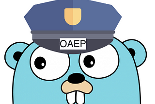 Golang Example RSA OAEP Encryption/Decryption