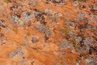 Who benefits from our work? Reflections for consultants and coaches