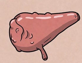 What Does a Gall Bladder Do, Exactly, and Do I Really Need It?