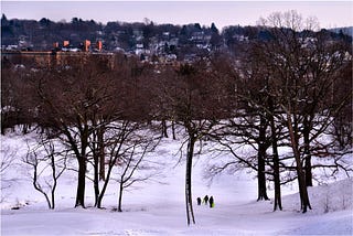 Hyde Park in Winter