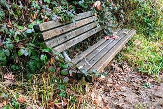 A Bench at the River’s Edge