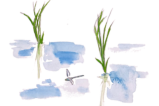 6 powerful lessons from Japan that helped me heal my health