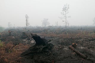 Engulfed in flames, Indonesia must curb deforestation to limit its emissions