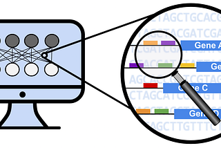 Modeling DNA Sequences with PyTorch
