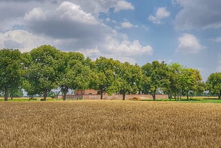 Understanding Punjab’s Groundwater Crisis