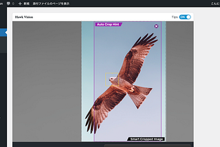 Hawk Vision — Smart Cropped Images Addon