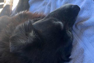 You Didn’t Deserve to Lose the Bones You Lost, A Poem to my Babygirl