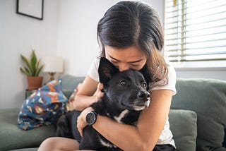 The $99 billion pet-retail economy is booming, thanks to a surge in pandemic puppies and kittens…