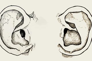 A detailed study in ink of two ear lobes, by Adam Westbrook