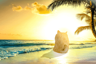 We commissioned the biggest Doge Beach Art yet! — $DOG Community Call #30 Recap