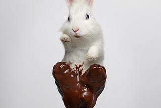 Le coup du Lapin (en Chocolat)