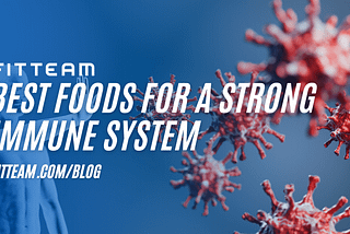 BEST FOODS FOR A STRONG IMMUNE SYSTEM