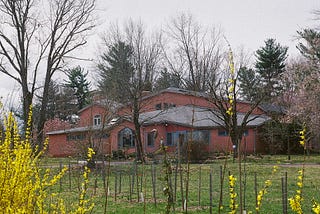 A two-storied performance hall that is pink with blue trim. In the foreground are forsythia in bloom. It is overcast.