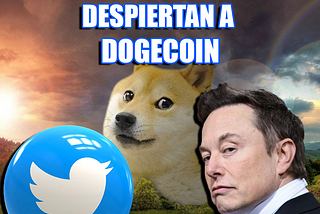 TWITTER Y ELON DESPIERTAN A DOGECOIN