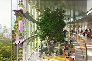 Vertical farming: a new approach to cultivate