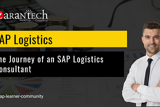 The Journey of an SAP Logistics Consultant