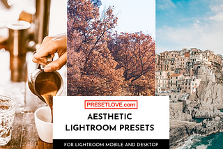 Aesthetic Lightroom Presets | Free Download