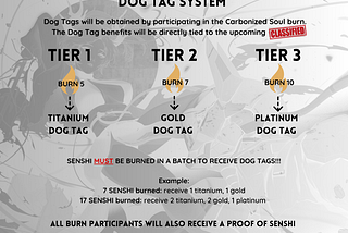Carbonized Soul: Dog Tag System