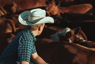 The Cowboy Lie