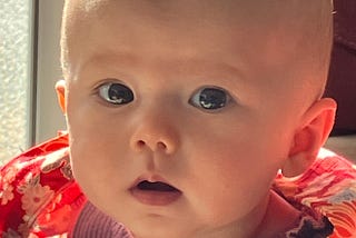 a four month old baby girl gazes at a camera