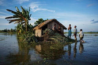 On environmental consciousness in an environmentally hostile state.