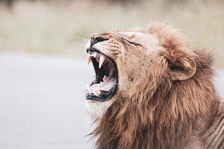 The Last Lecture Articles 01: An Injured Lion Still Wants to Roar