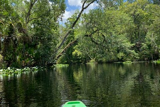 I Went Kayaking for the First Time in Years