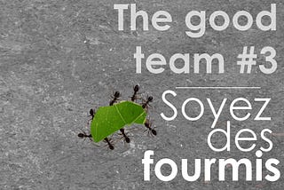 The good team #3 : Soyez des fourmis