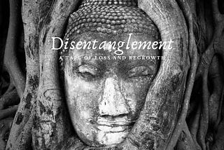 Disentanglement — Chapter 2: Vulture