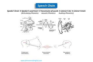 Unveiling the Secrets of Speech: A Journey into the World of Phonetics