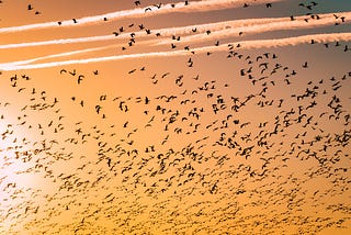 The Great Migration in Tech is Here