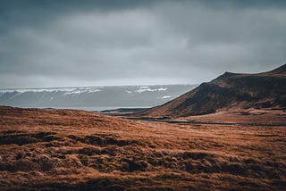 The Icelandic wind blows through the vast fields of golden grass