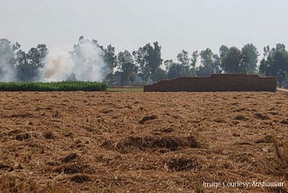 Paddy Stubbles — A Green Alternative To Fight Against Climate Change