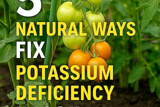 5 Natural Ways Fix Potassium Deficiency in Soil