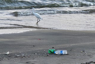 海，零距離