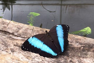 Why Do We Tend to Fear Personal Transformation?