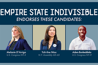 Empire State Indivisible Announces Slate Of Endorsements Prioritizing Candidates Who Are…