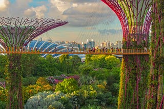 National University of Singapore: A Guide for African Students