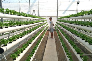 Agricultural Technology กับการเปลี่ยนแปลงโลกในปี 2020