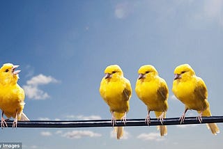 Straight-up canary deployments with AWS ALB. It’s all manual, no fancy K8s stuff.