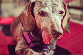 I Didn’t Know I Would Grieve So Much for My Baby Ruth