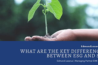 What are the Key Differences Between ESG and SRI