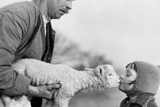 a kiss from a lamb