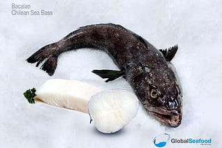 Healthy Chilean Sea Bass