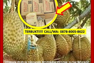 TERBUKTI, WA: 0878–8005–8622 Terpercaya Di Aceh Besar Pupuk Untuk Sawit Umur 3 Tahun