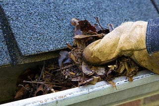Things To Consider In Order To Ensure That You Hire The Best Gutter Cleaning Professional