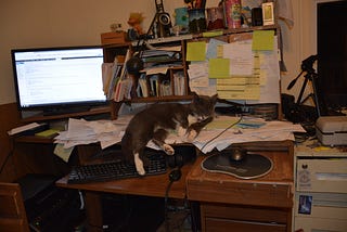 Cat sleeping on a cluttered computer desk