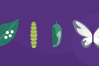 Illustration of the 4 stages of the butterfly metamorphosis